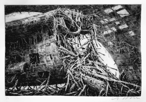 Grounded Form,8x12 inch drypoint with watercolour tint.