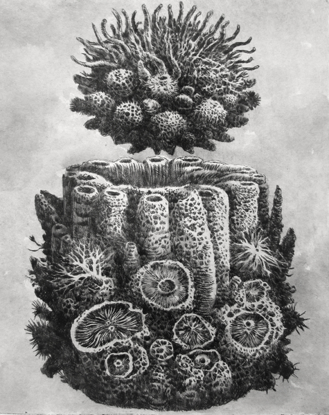 Untitled Vessel, drypoint with watercolour, 8x10 inches