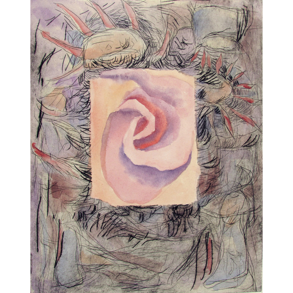 Flower, drypoint with watercolour, 8x10 inches, edition of 20