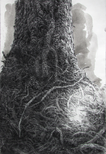 Trunk, 8x12 inch drypoint intaglio print edition of 20