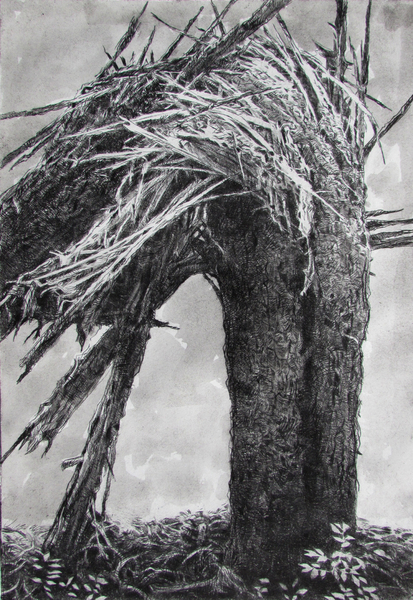 Shattered, drypoint and watercolour tint 8x12 inches edition of 20