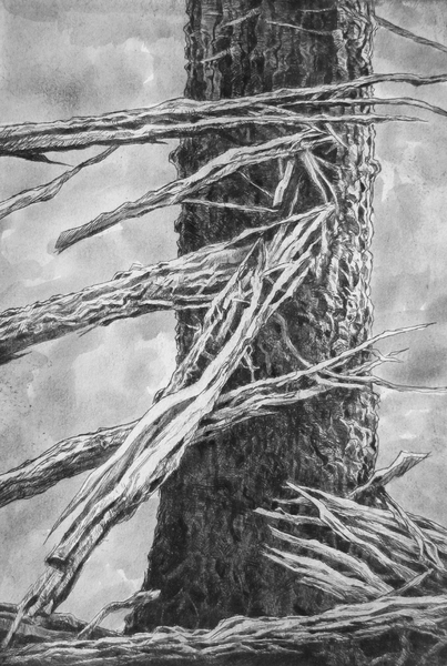 Scaffold, drypoint, watercolour 8x12 inches edition of twenty