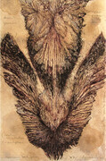 Winged Descent, drypoint, watercolour, tea, 8x12 inches, edition of 20