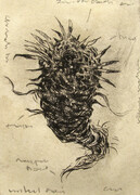Polyp, drypoint, 3x4 inches, edition of 25