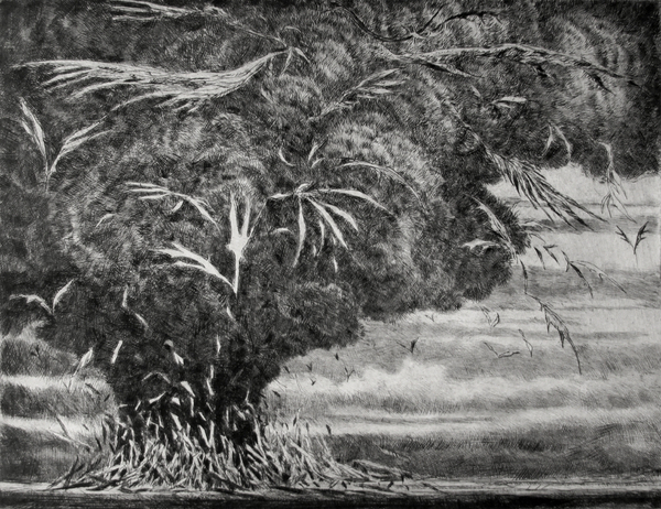 Test Atoll, drypoint and watercolour 11x13 inches edition of twenty