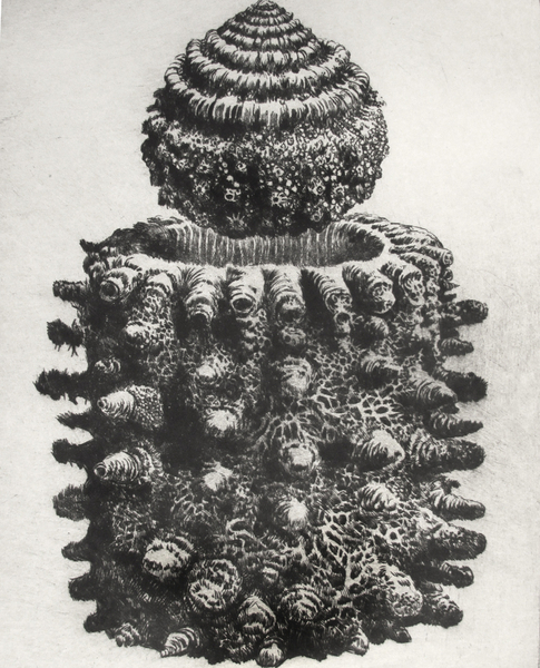 Vessel, drypoint and watercolour, 8x10 inches edition of twenty