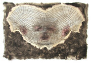 Surface Tension on a Face, drypoint, watercolour, monoprint, 14x18 inches variable edition of 5
